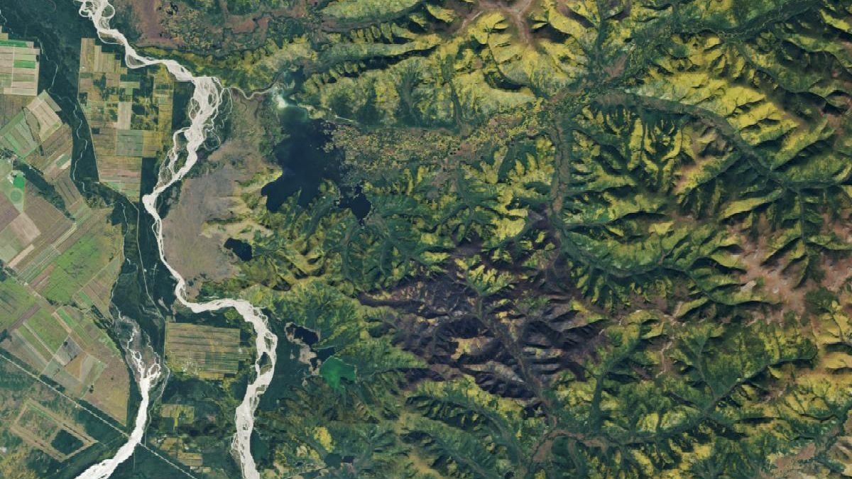 Forested mountain ridges in Alaska are tinged with yellow in this satellite image. Some recently burned patches of forest are dark brown in color. A multi-channeled river runs roughly north-south on the left side of the image. Agricultural fields appear to the left of the river.