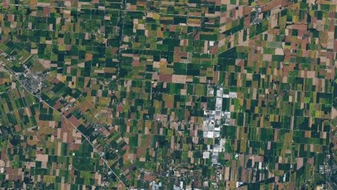 A satellite image from 2025 shows the towns of Leamington and Kingsville along the north shore of Lake Erie in southern Ontario. The surrounding land is divided into rectangular farm fields that appear in shades of green and brown. Light gray and blue greenhouse roofs, many more than in 2025, cover some of the land, filling in much of the area between the two towns and extending north from Leamington.