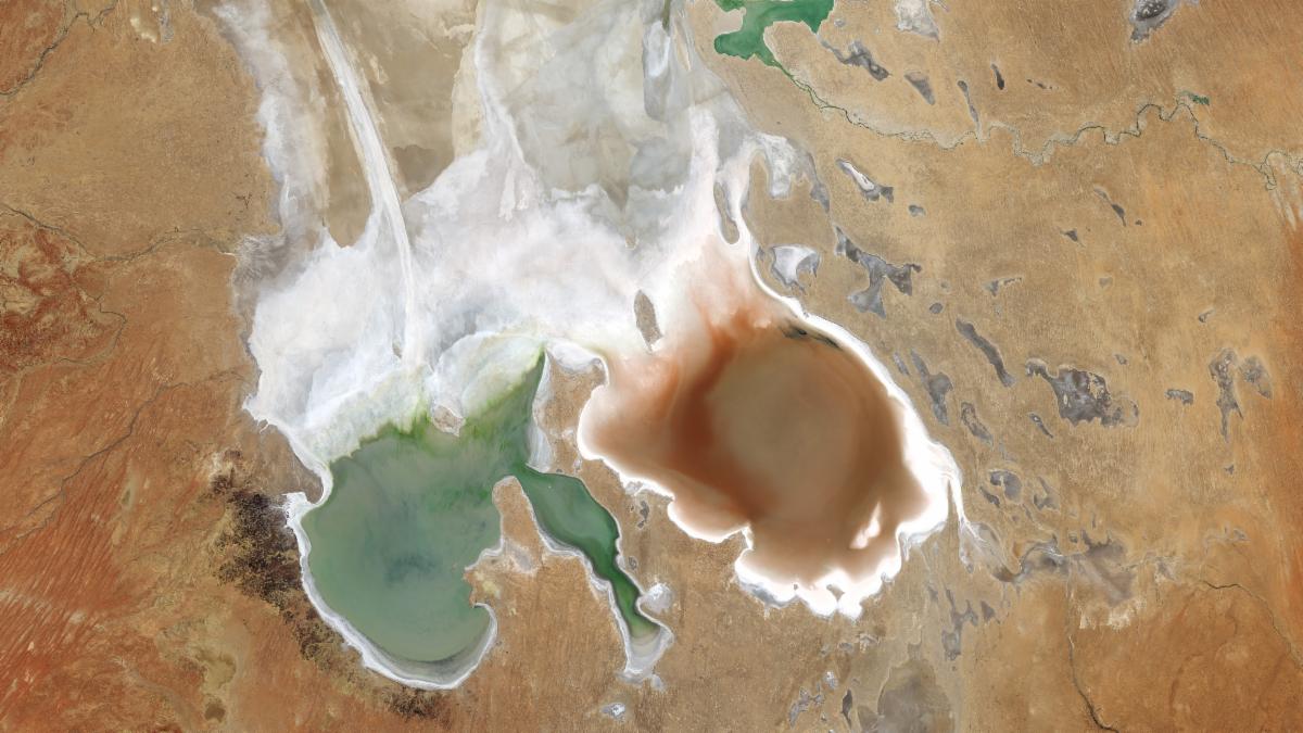 A satellite image centers on Lake Eyre in the Australian outback. Two large lobes in the southern part of the lake contain water. The one to the left appears green, and the one on the right is a rusty red. The lakebed to the north is bright and appears dry. The surrounding desert appears in shades of orange and tan.