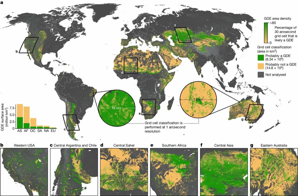 A global map of groundwater-dependent ecosystem density created by Rohde et al., 2024. Green represents areas of high density of groundwater-dependent ecosystems, and tan represents areas of low density of groundwater-dependent ecosystems.