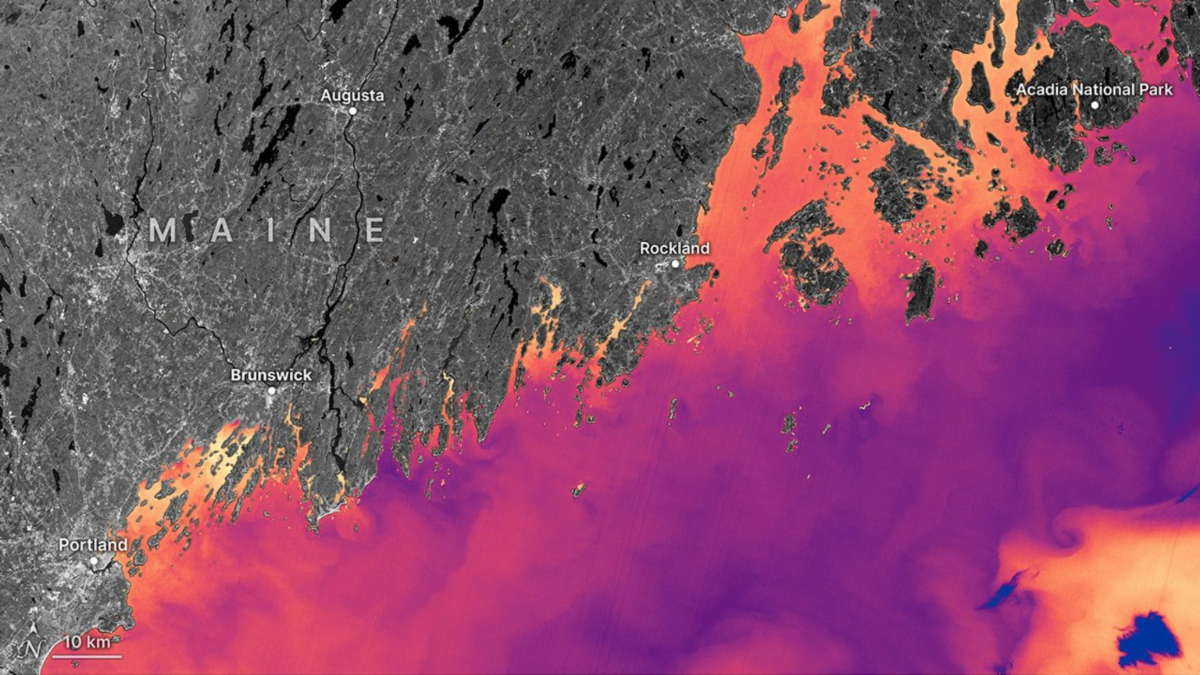 False-color Landsat 9 map shows cooler purple/blue Gulf of Maine waters and warmer orange/yellow nearshore coves.