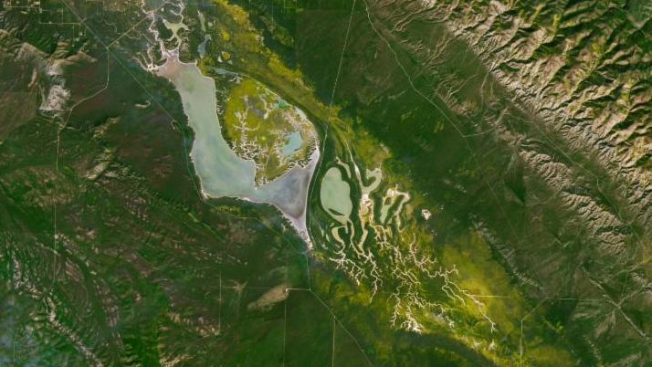 Wildflower blooms appear as yellow patches at the center of satellite images centered on Carrizo Plain National Monument. The blooms spread and intensify between March 5 and March 13.