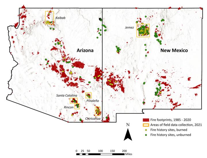 A map of Arizona and New Mexico showing contemporary fire footprints and the location of fire history sites used in this research.
