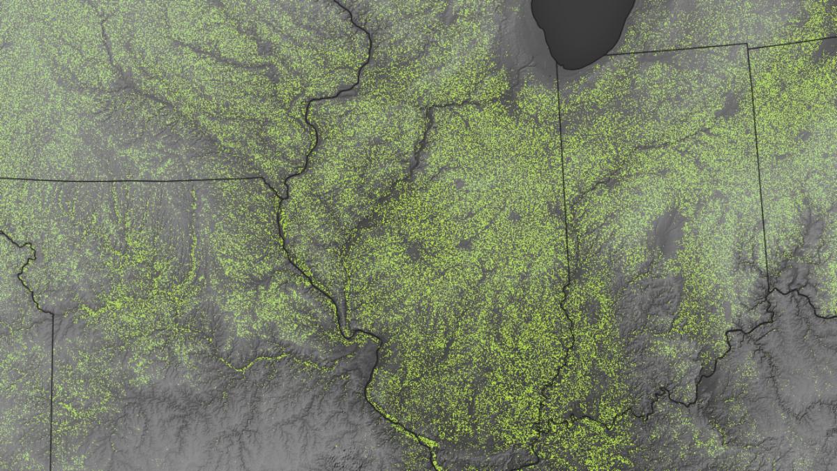 A map of the Midwest shows where soybeans were grown in 2024. Soybean areas are shaded green against the gray background of the map. Soybeans are grown widely in the region, especially in Illinois and Iowa.