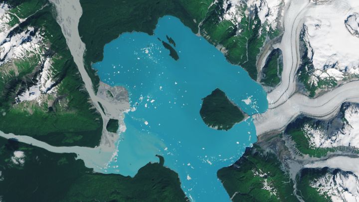 A satellite image shows Alsek Lake in August 2025. A landmass in the eastern part of the lake that was once partially encased by glacial ice is now an island. The bright blue lake has expanded to fill the voids left by retreating glaciers to the east and south.