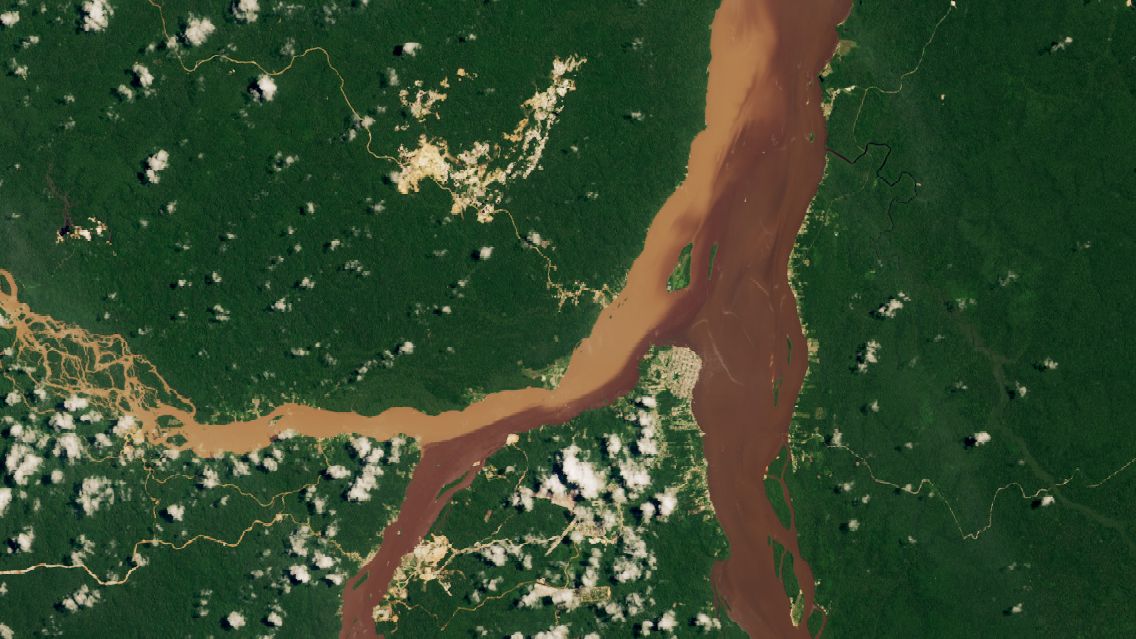 A satellite image shows the confluence of the Cuyuni Mazaruni and Essequibo rivers in central Guyana.