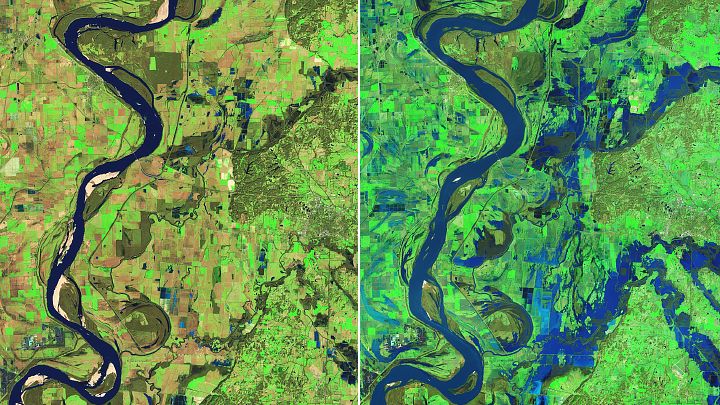 The OLI-2 (Operational Land Imager-2) on Landsat 9 captured this false-color image (right) of swollen rivers in western Tennessee on February 17, 2025. The image on the left shows the same area on January 24, 2025. The band combination (7-5-4) used in the images makes it easier to distinguish between water, land, and vegetation. Water appears lighter blue in the February 17 image because it is rich in suspended sediment. The water-covered fields in Missouri are rice fields.