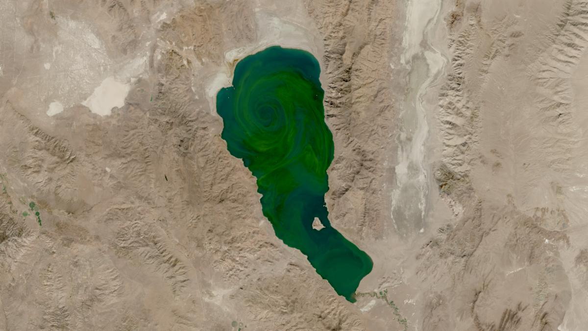 Natural-color satellite image of Nevada’s Pyramid Lake during an algae bloom. The image was derived from the Harmonized Landsat Sentinel-2 (HLS) dataset on October 2, 2024. In the image, bare earth is tan, the lake’s water is swirling shades of green from the bloom and almost resembles a witch’s cauldron. 