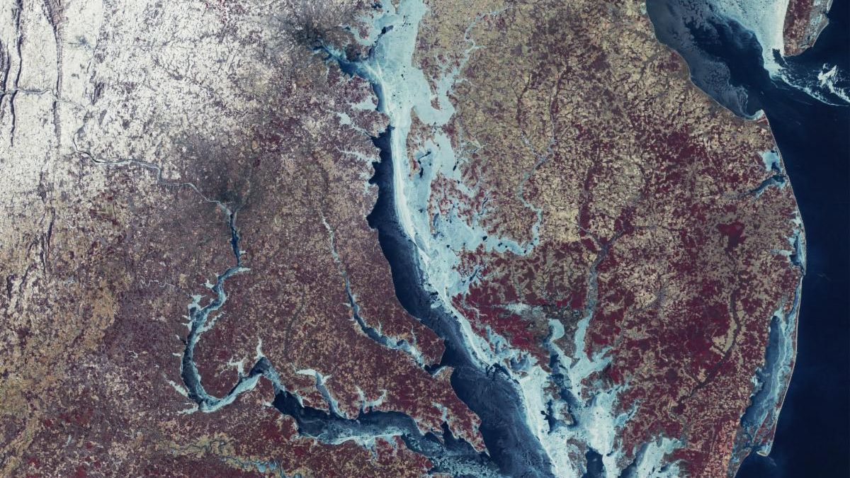 A false-color satellite image of the Chesapeake Bay region shows the bay and its tributaries largely frozen, with the thickest blue and white ice concentrated along the eastern shoreline.