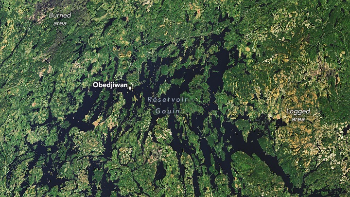 A natural-color Landsat 8 satellite image of the Reservoir Gouin in Quebec, Canada. White text in the image highlights a burned area, Obedjiwan, Reservoir Gouin, logged area, a dam, and Quebec. This image was acquired on October 17, 2023. Healthy vegetation in the image appears green while logged areas appear as shades of yellow and burned areas appear gray.