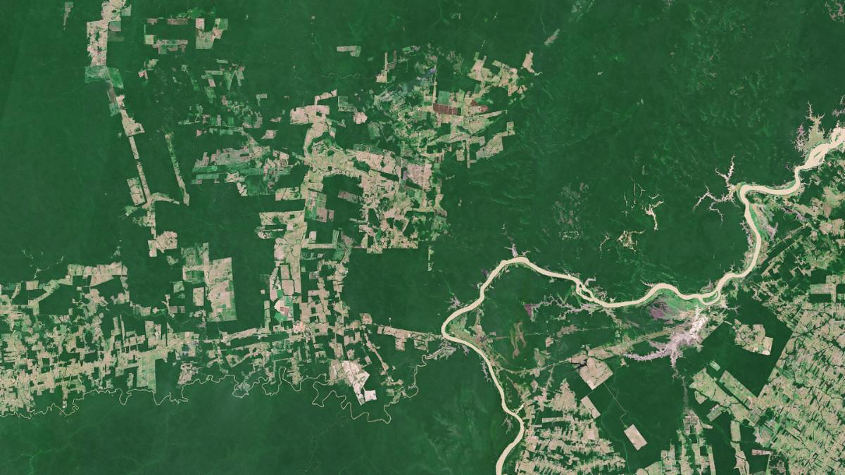 Satellite image of the Amazon rainforest showing dense green forest broken by brown patches of deforestation and infrastructure.