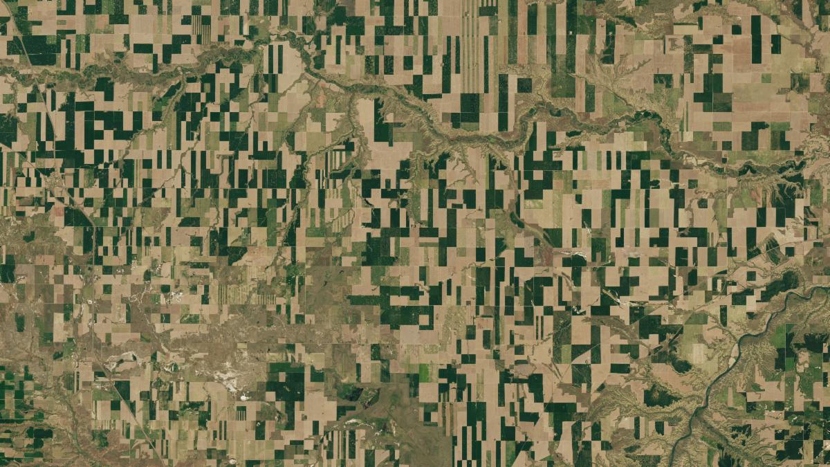 A false-color satellite image shows the burned area left by the Buck fire. On June 14, the fire had charred an area several times larger than the Trout fire. The image shows a significant amount of activity on the northern side of the fire's perimeter.