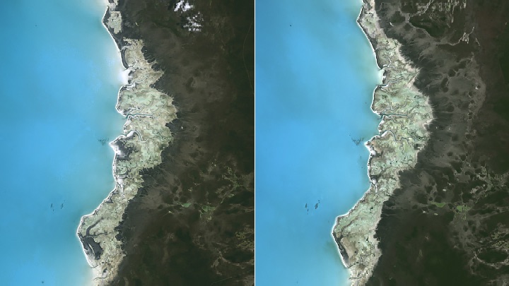 A pair of Landsat images highlighting changes in the distribution of bacterial mats and channels in the shallow tidal zone of the Three Creeks area in the northern part of the island. The TM (Thematic Mapper) on Landsat 5 captured the left image on April 29, 1986. The OLI-2 (Operational Land Imager-2) on Landsat 9 captured the right image on May 15, 2024.