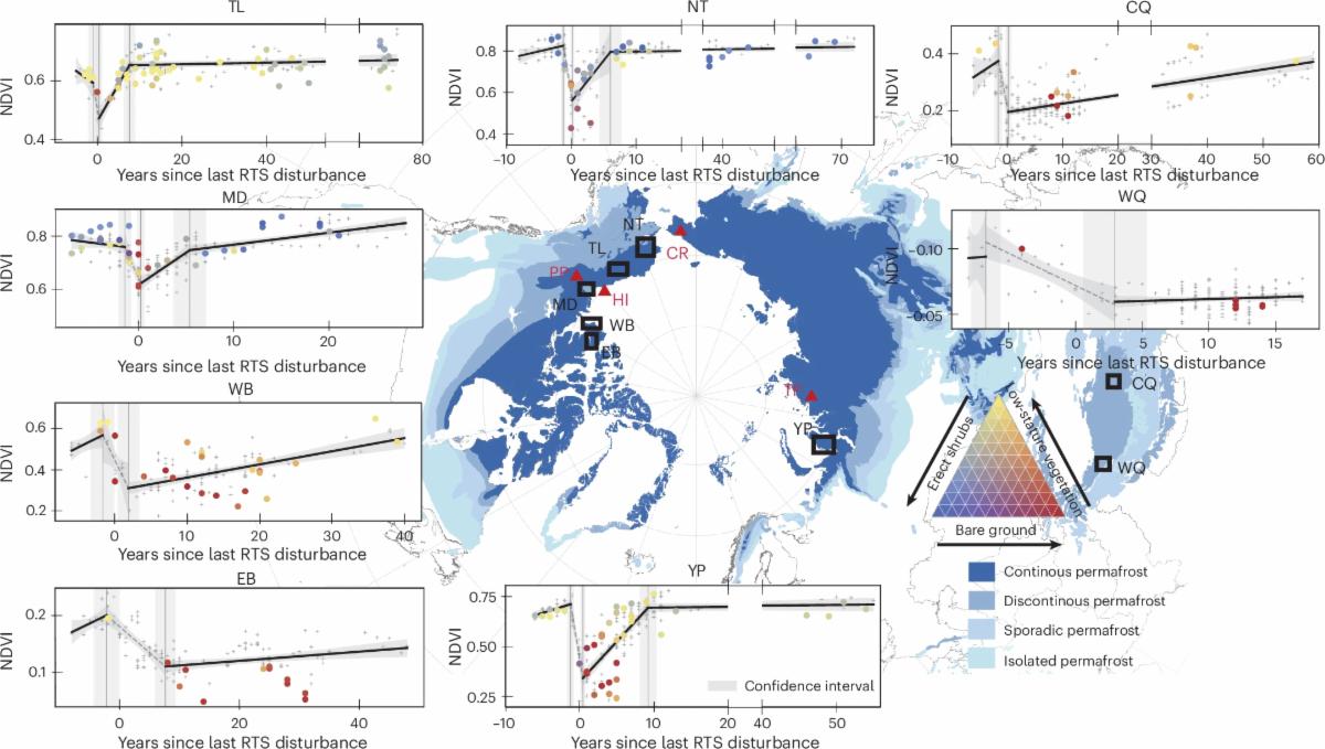 Figure about vegetation recovery of Arctic sites post-disturbance. Colored dots and grey plus symbols represent mean NDVI values for each location. Sites in the low-Arctic rebound faster than sites in the high-Arctic