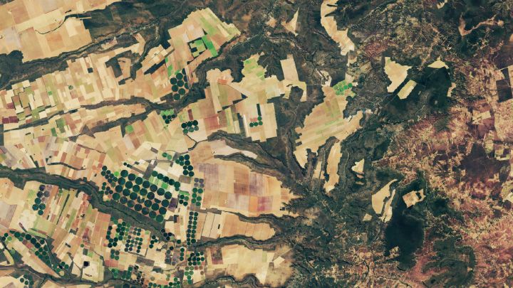 A satellite image of part of the Brazilian Cerrado from June 2024 shows light brown agricultural land amid areas of green vegetated land and irrigated farmland. Compared to the 2000 image, brown areas cover more of the image.