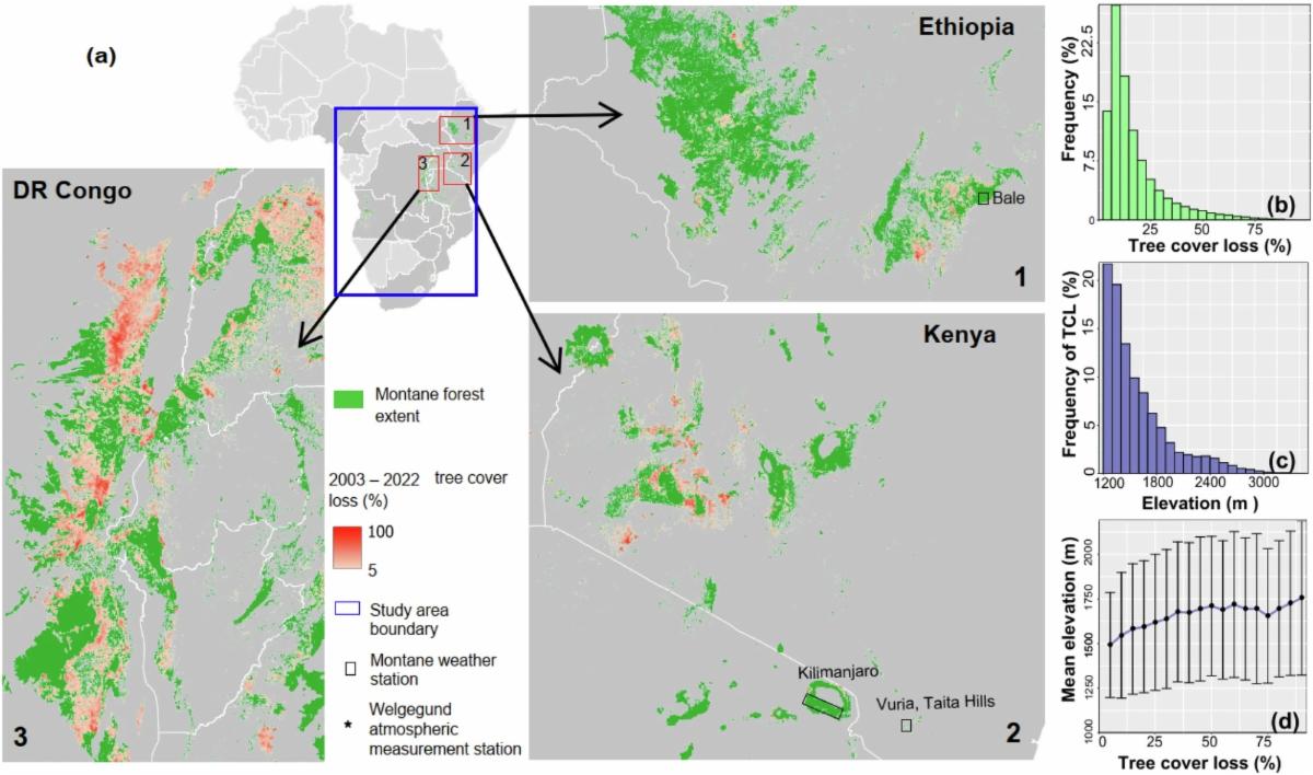 Figure of tree cover loss between 2003 and 2022 in montane forests in Africa. 
