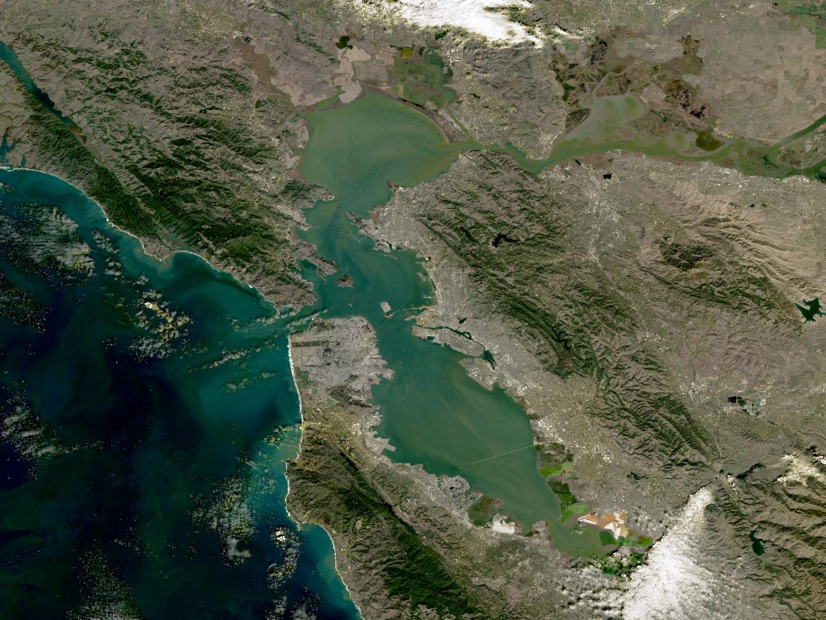 A natural-color HLS image of San Francisco, California. In the image, the bay is green with sediment which contrasts with the brown bare earth to the east and the dark blue of the Pacific Ocean to the west.
