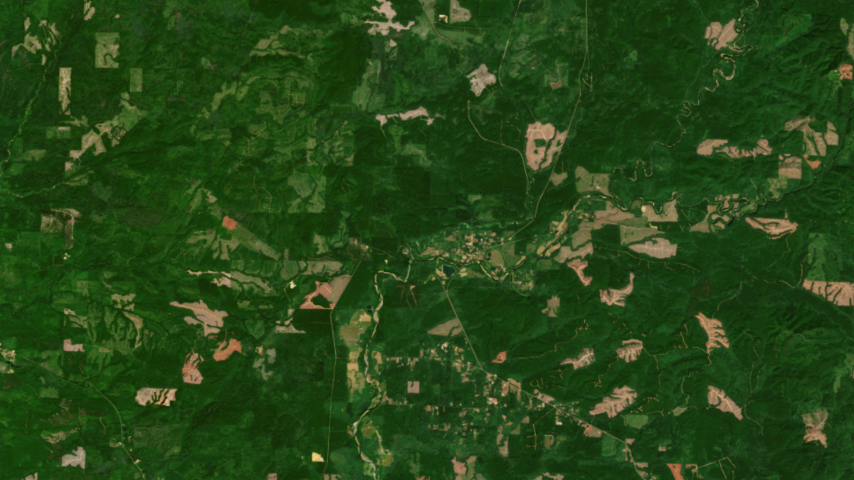 Harmonized Landsat and Sentinel-2 image of the forests of Washington's Wynoochee Valley.
