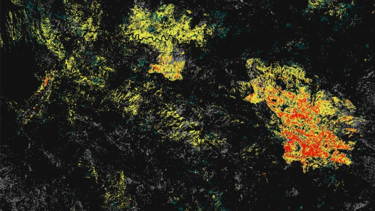 Screenshot of the DIST ALERT system which tracks vegetation anomalies in near real time. A large red shape represents vegetation loss of greater than 50 percent while surrounding yellow marks represent vegetation loss of less than 50 percent.