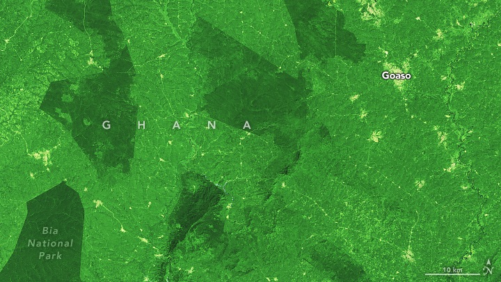A false-color Landsat 9 image of deforested land in Ghana, acquired on December 18, 2023. The forested canopies of the reserves are dark green, whereas the surrounding landscape is lighter green.