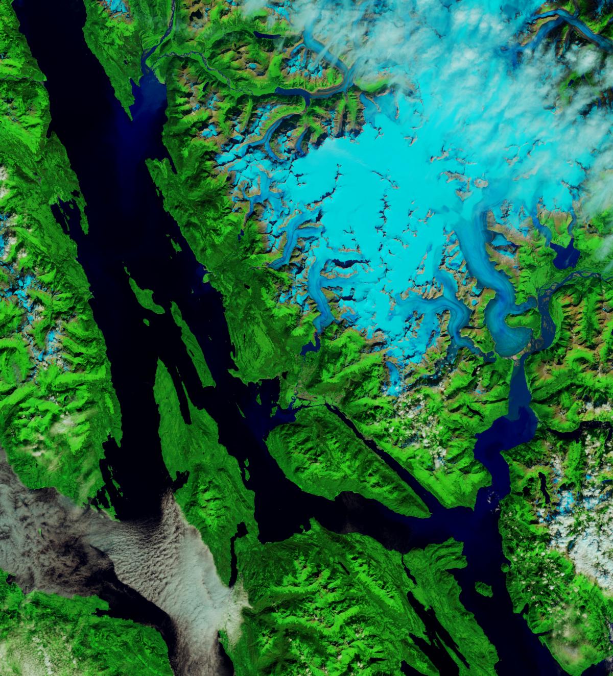 A false-color Landsat image of Alaska's Mendenhall Glacier. Vegetation is green, water is black, and ice is blue.