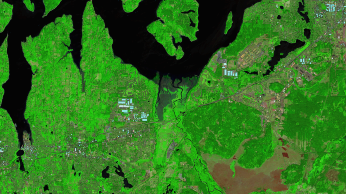 This false-color image of the Nisqually National Wildlife Refuge was acquired by Landsat 9 on August 1st, 2024. In this combination, vegetation appears bright green, water appears dark blue, and bare earth appears tan.