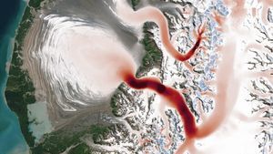 A satellite image of glaciers in southeastern Alaska is overlaid with ice-velocity measurements from January, before spring melt. The glacier segment flowing down from the mountains on the right appears in red, indicating high ice velocities, while the portion spreading across the coastal plain to the left is shown in white and pink, representing slower movement.