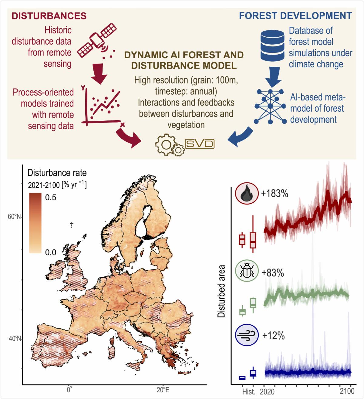 Shown is a simulation framework combining process-oriented disturbance models trained with remote sensing data and local process-model simulations in a deep learning–based dynamic forest and disturbance model (top). This framework was used to simulate future forest disturbance regimes in Europe at 100-meter spatial resolution (bottom left) and annual time step (bottom right). Our results show that disturbances in Europe’s forests will increase throughout the 21st century (shown here for a scenario of unabated warming).