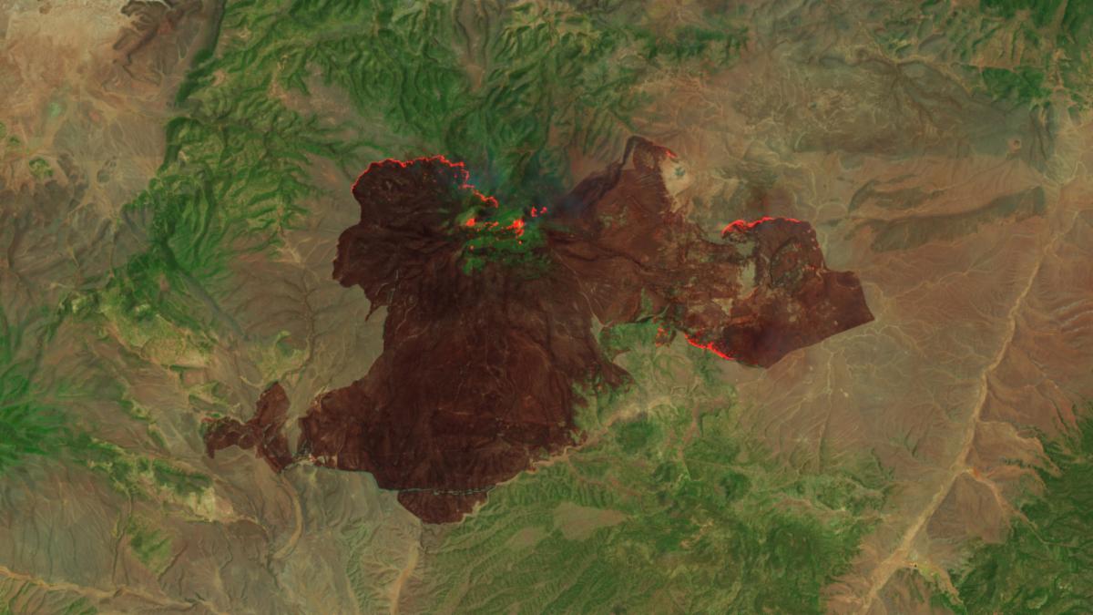 A false-color satellite image shows the burned area left by the Buck fire. On June 14, the fire had charred an area several times larger than the Trout fire. The image shows a significant amount of activity on the northern side of the fire's perimeter.