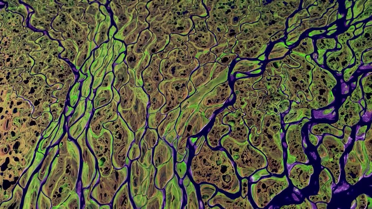 Landsat 8 collected this image of the Lena River Delta in Russia on July 7, 2000