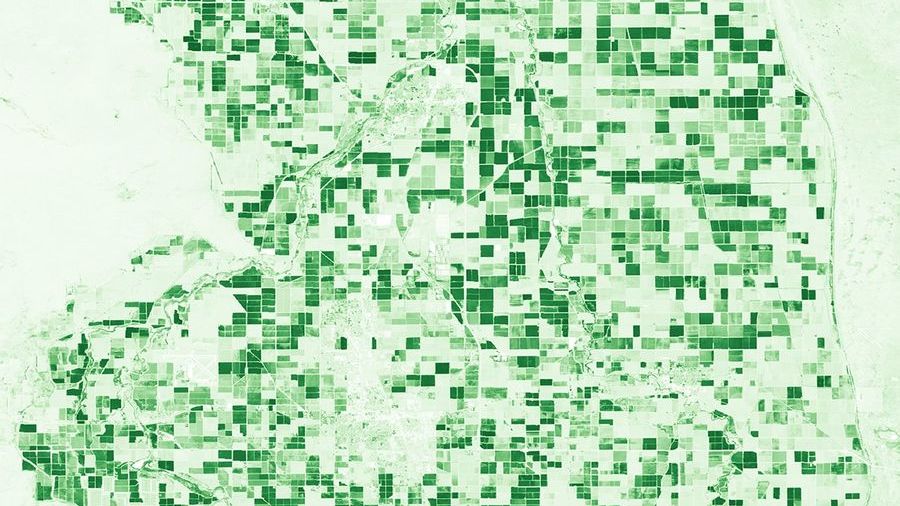 HLS NDVI image of the Imperial Valley where dark green areas are healthy vegetation and light greens are stressed vegetation or bare crop fields.