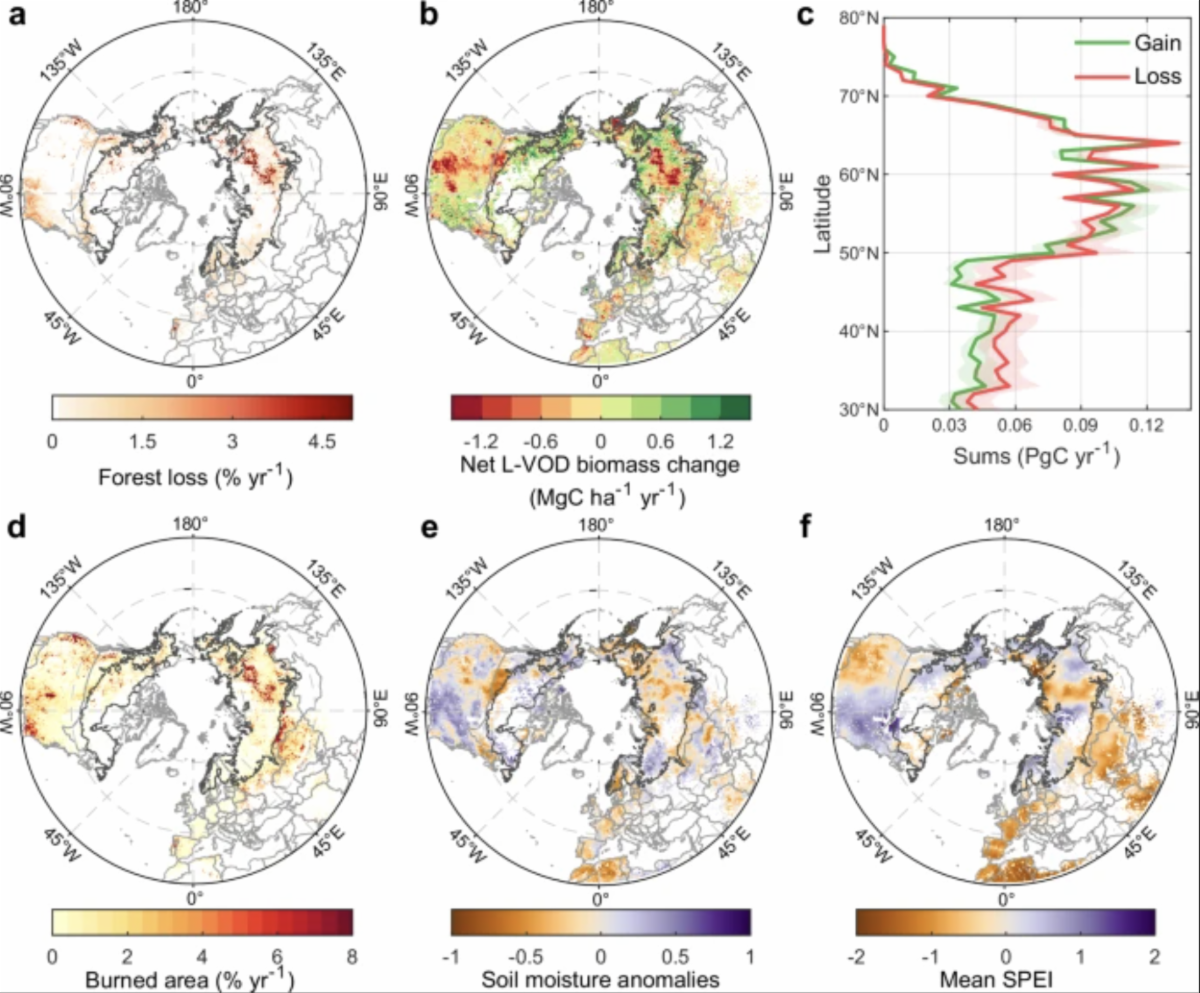 Figure of change in live biomass carbon stocks during 2016 to 2022. Five maps of northern ecosystems. 