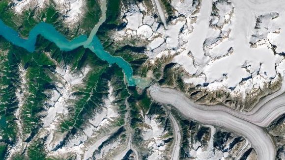 Satellite view of a fjord with a glacier occupying the right half and open water on the left. The glacier’s front has retreated, and brown has replaced previously green areas on land where a tsunami stripped away the vegetation.