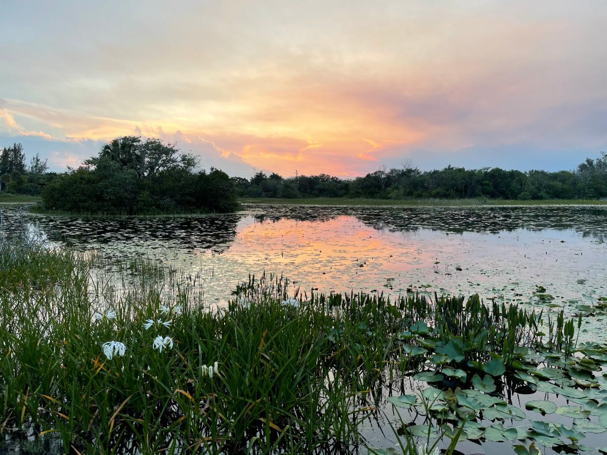 Sunset at Tree Tops Park