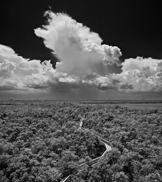 Anne Kolb Nature Center view from tower. photo by Robert Grauer