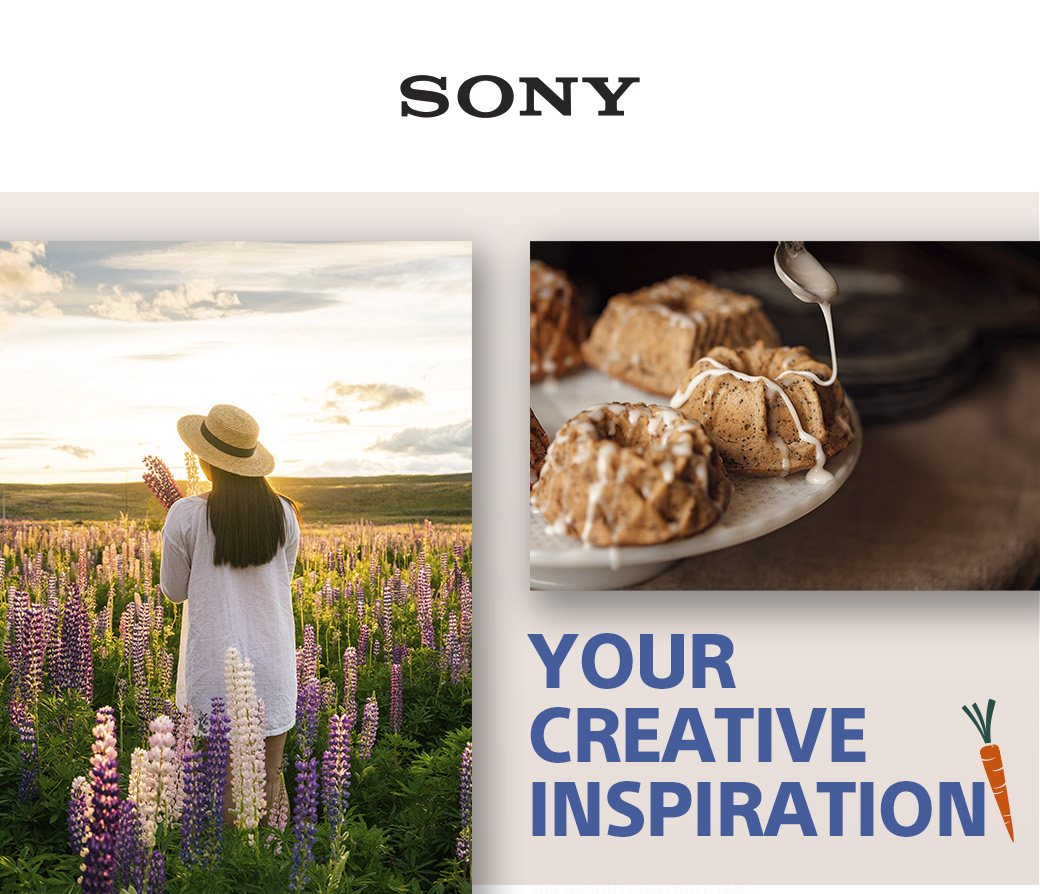 Get Inspired With Sony Berger Bros Camera