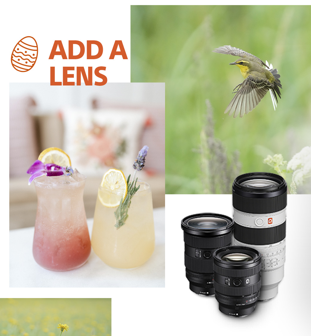 Get Inspired With Sony Berger Bros Camera