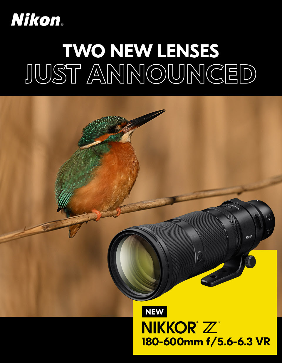 Two New Z Lenses From Nikon Berger Bros Camera