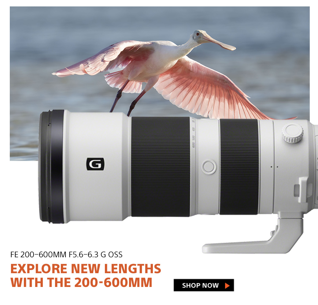 Get Inspired With Sony Berger Bros Camera