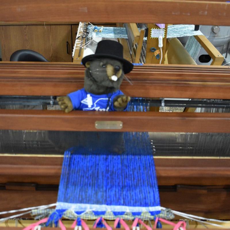 Archie the JR! Archivist (Plush Beaver) sits on top of a weaving loom in spirit of the upcoming Fall magazine article "Stitching the Revolution"
