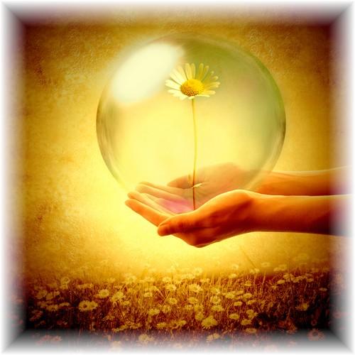 Love and Light are Yours to Give