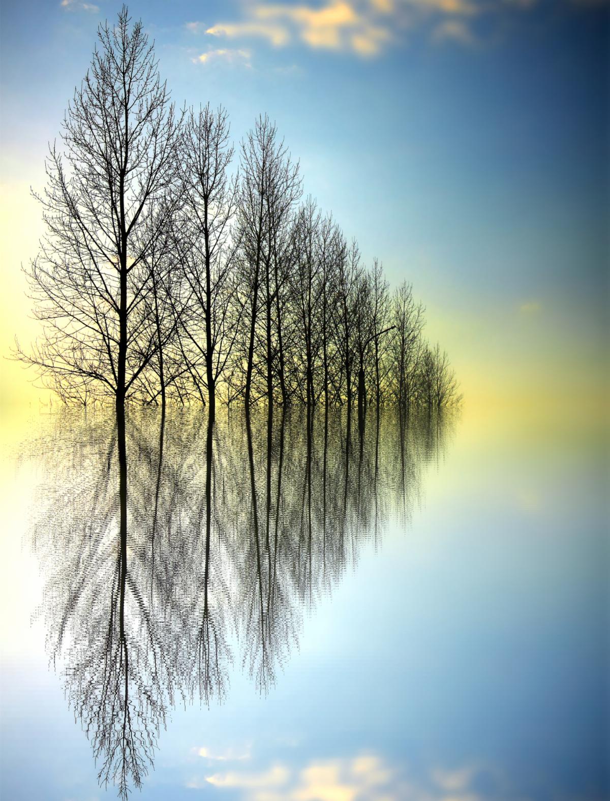 Reflections of Each Other