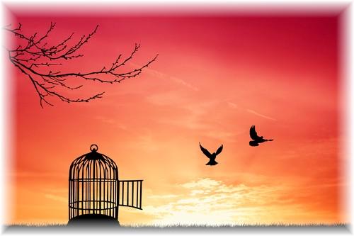 Heaven is Your Will