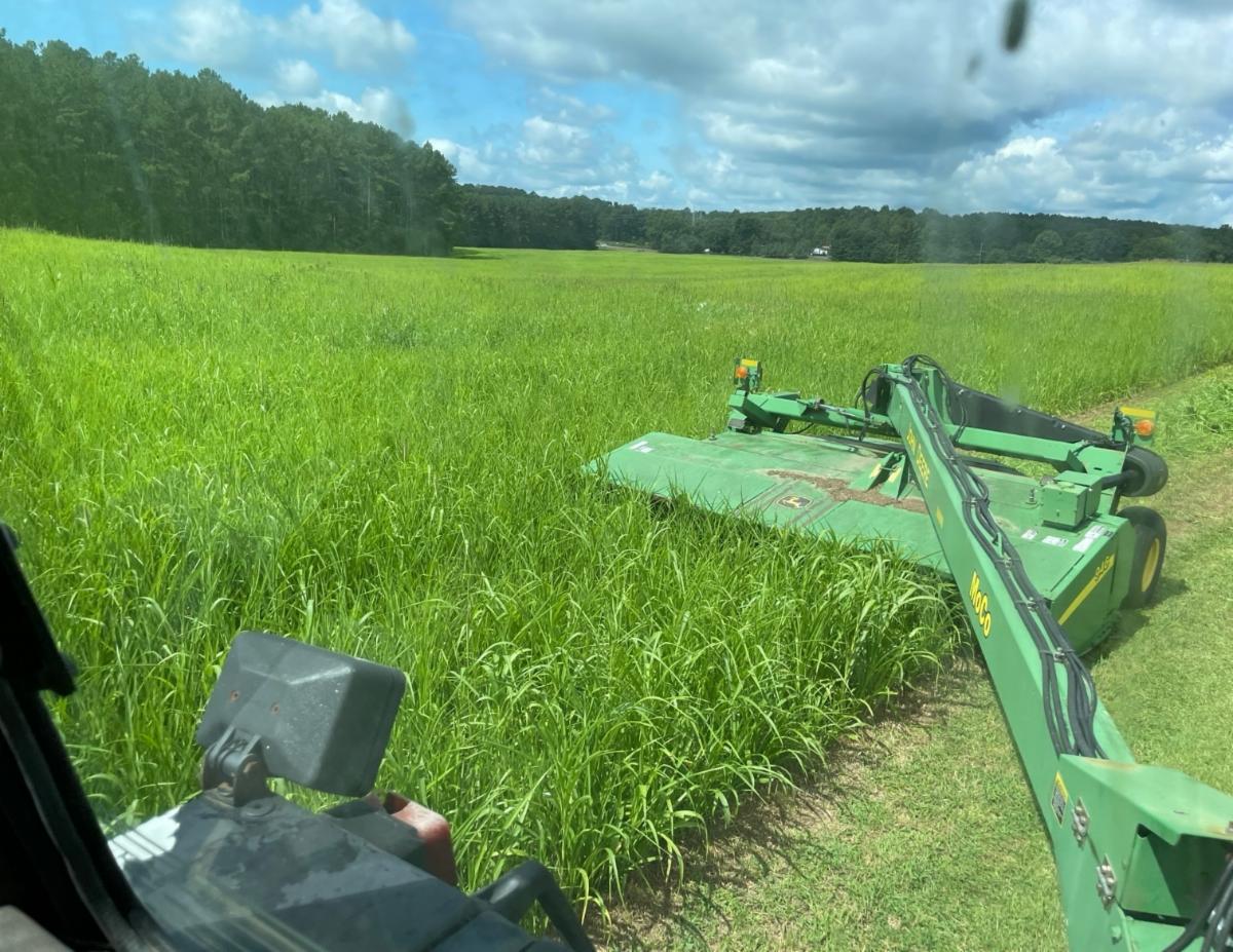 Carlton Farms Newsletter