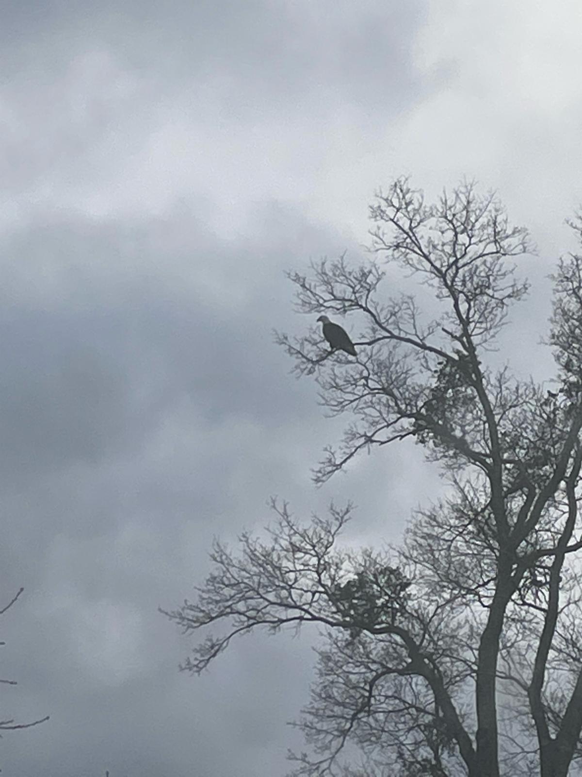 CTCT-20221211_215819