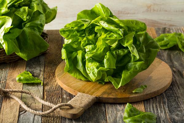 CTCT-20230206_130309