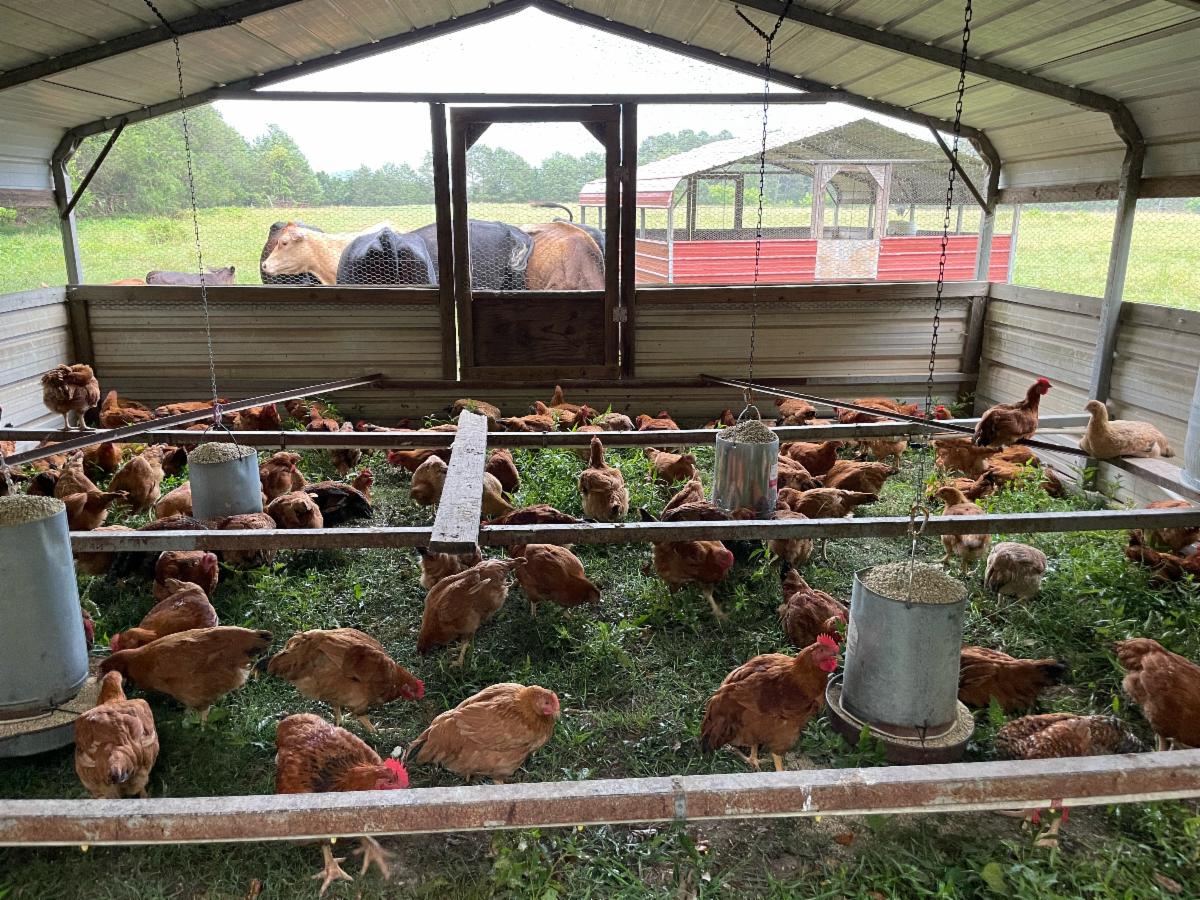 Carlton Farms Newsletter