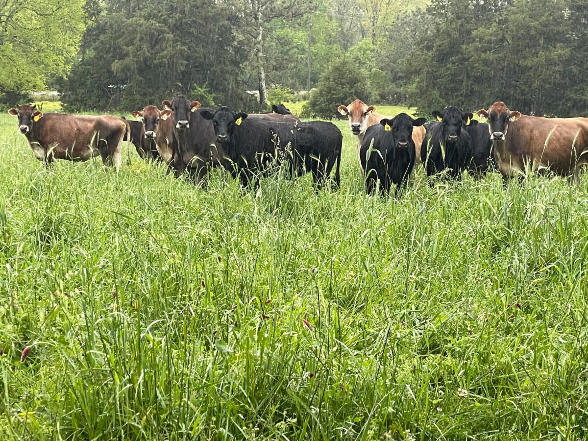 Carlton Farms Newsletter