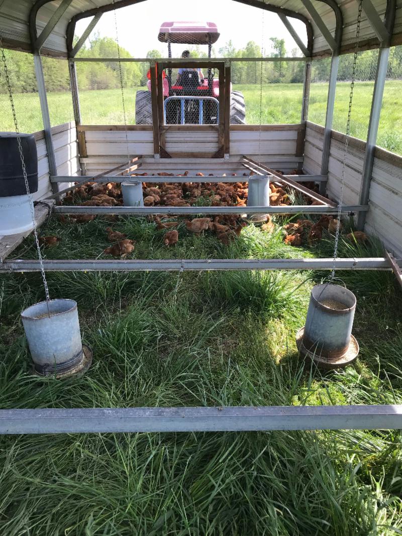 Carlton Farms Newsletter