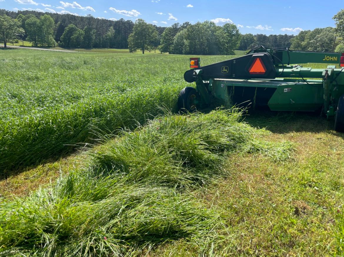 Carlton Farms Newsletter